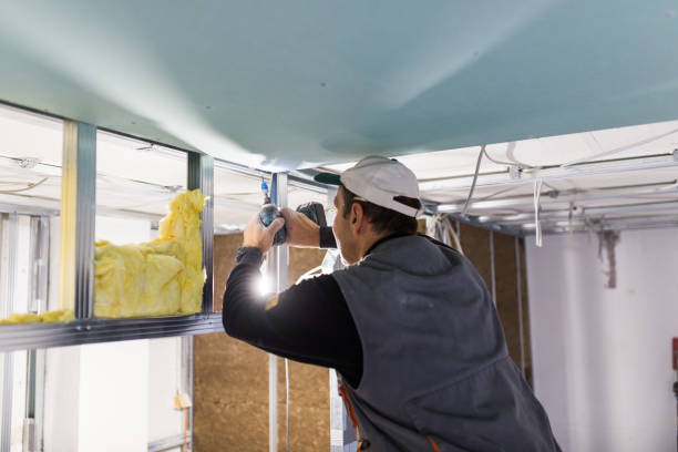 Best Local Insulation Services  in Glenville, WV