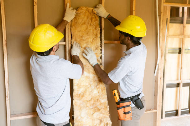 Best Crawl Space Insulation  in Glenville, WV