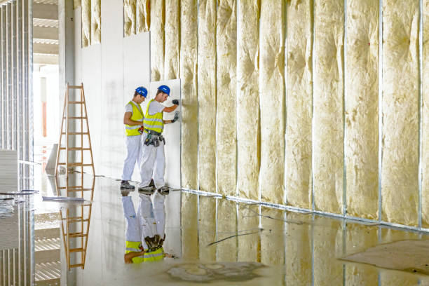 Best Attic Insulation Installation  in Glenville, WV